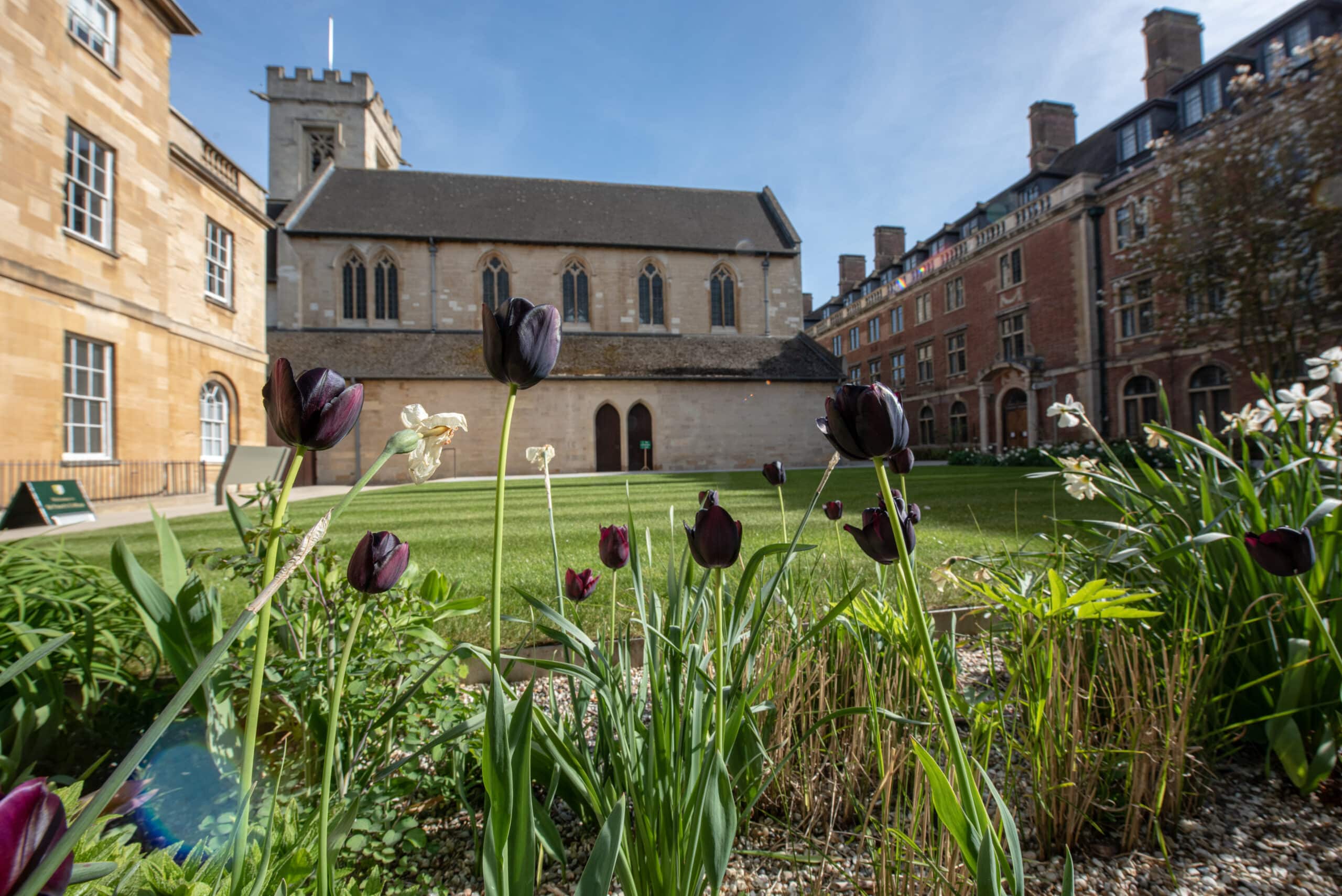 Photo of the St Peter's College quad